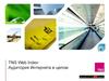 TNS Web Index. Аудитория интернета в целом. Ноябрь 2015 - Апрель 2016