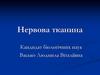 Нервова тканина