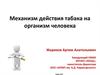 Механизм действия табака на организм человека