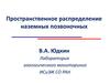 Пространственное распределение наземных позвоночных