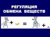 Регуляция обмена веществ