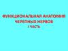 Функциональная анатомия черепных нервов
