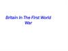 Britain in the first world war