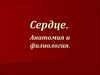 Сердце. Анатомия и физиология