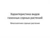 Характеристика видов газонных сорных растений