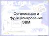 Организация и функционирование ЭВМ. (Лекция 1)