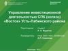 Управление инвестиционной деятельностью СПК (колхоз)