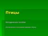 Породы птиц