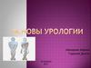 Основы урологии