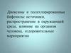 Диоксины и полихлорированные бифенилы: источники, распространение в окружающей среде, влияние на организм человека