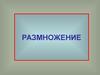 Размножение. Значение размножения. Типы размножения