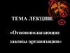 Основополагающие законы организации