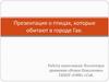 презентация о птицах которые обитают в городе Гае