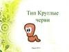 Тип Круглые черви