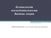 Безопасность жизнедеятельности. Вводная лекция
