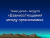Взаимоотношения между организмами