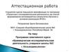 Аттестационная работа. Программа элективного курса «Краеведческая исследовательская деятельность учащихся школы №3