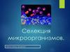 Селекция микроорганизмов