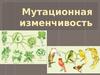Мутационная изменчивость