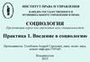 Введение в социологию