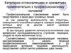 Категории «становление» и «развитие» применительно к профессионализму человека. (Лекция 5)
