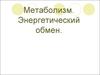 Метаболизм. Энергетический обмен