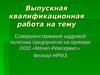 Совершенствование кадровой политики предприятия на примере ООО «Мечел-Ремсервис»