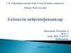 Екіншілік нейроинфекциялар