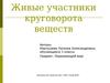 Живые участники круговорота веществ. Могут ли существовать живые организмы друг без друга