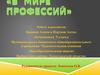 В мире профессий (9 класс)