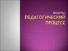 Педагогический процесс