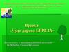 Проект «Чудо-дерево БЕРЕЗА»