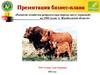 Развитие хозяйства-репродуктора породы ангус (красный) на 1500 голов в Жамбылской области. Бизнес - план