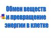 Обмен веществ и энергии в клетке