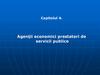 Agenţii economici prestatori de servicii publice. (Capitolul 4.1)