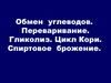 Обмен и функции углеводов. Переваривание. Гликолиз. Цикл Кори. Спиртовое брожение