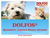 Dolfos. Фундамент здоровья вашего питомца. Правильное питание домашних животных