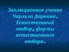 Эволюционное учение Чарльза Дарвина. Естественный отбор, формы естественного отбора