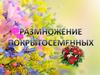 Размножение покрытосеменных