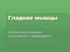 Гладкие мышцы. Особенности строения, сократимости и возбудимости