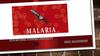 The disease malaria