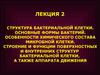 Структура бактериальной клетки. (Лекция 2)