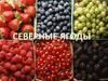 Северные ягоды