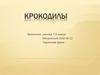 Крокодилы