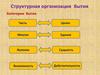 Структурная организация бытия