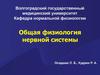Общая физиология нервной системы