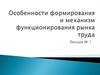 Особенности формирования и механизм функционирования рынка труда