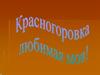 Моя любимая Красногоровка