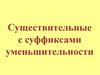Существительные с суффиксами уменьшительности