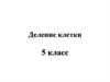 Деление клетки 5 класс